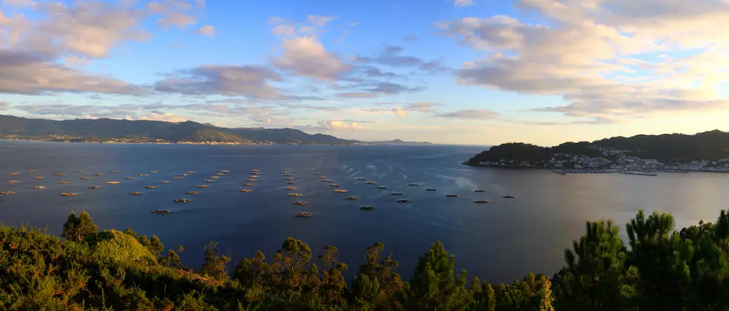 Guía turística de la Ría de Muros y Noia