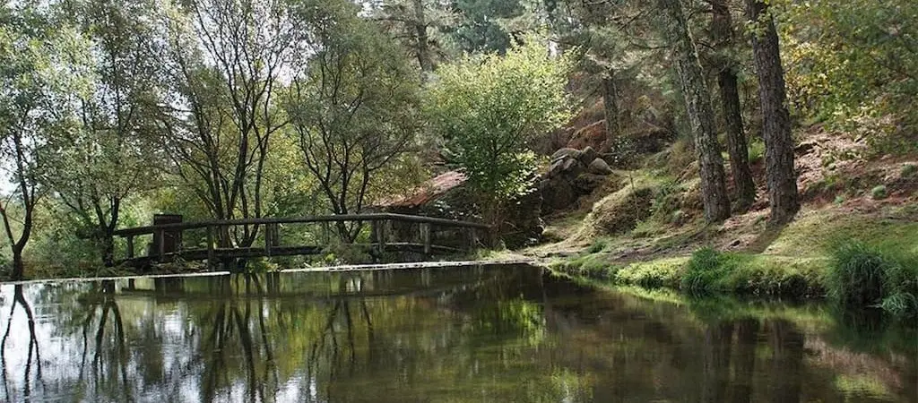 Visita y descubre o monte Aloia