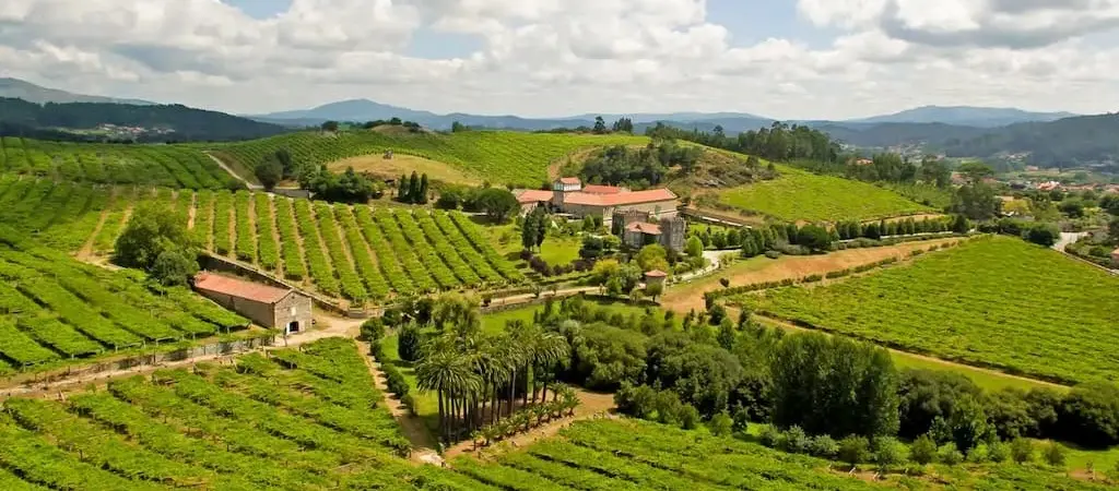Albariño en Vigo- guía para beber bien en el Casco Vello