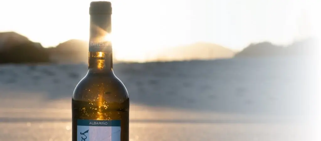 Cuáles son las mejores bodegas que visitar en la D.O. Rías Baixas